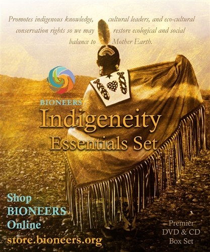 Indigeneity Essentials Set 